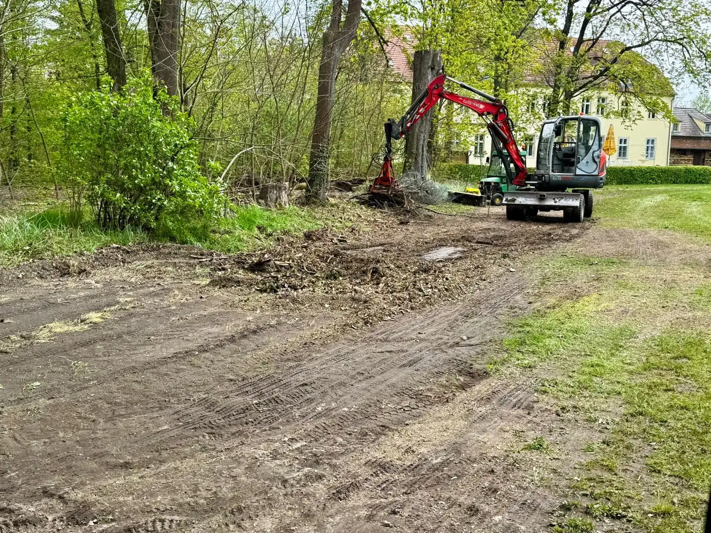 Wurzelstöcke und Strauchwerk kommen mit dem Bagger heraus