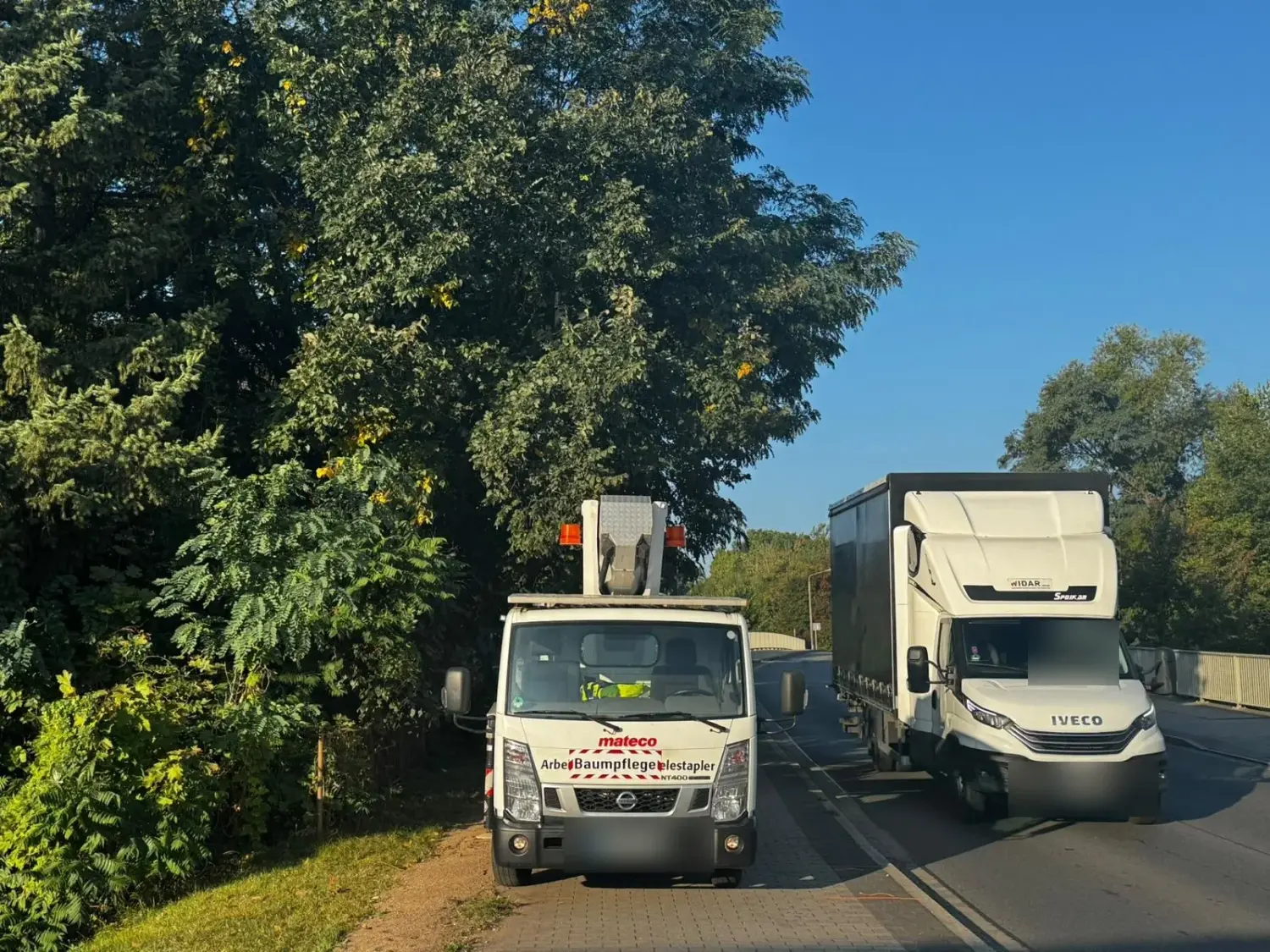 Arbeitsbühne an der Straße unter einer weit überhängenden Baumkrone