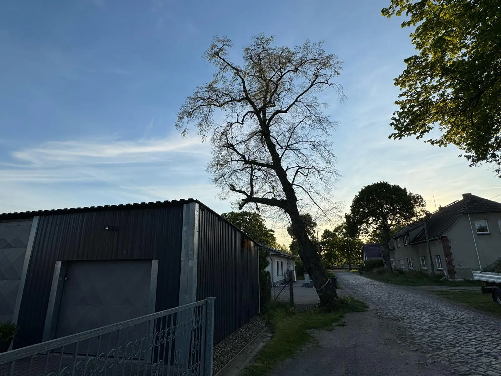 Hohler Baum an der Garage