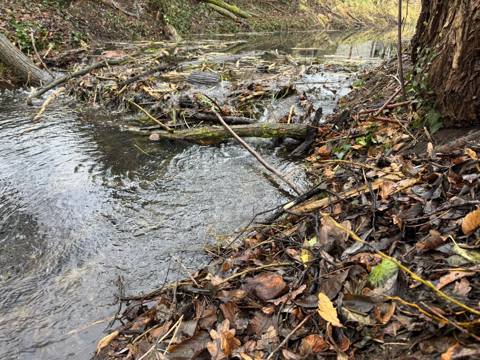 Verklauster Bachlauf