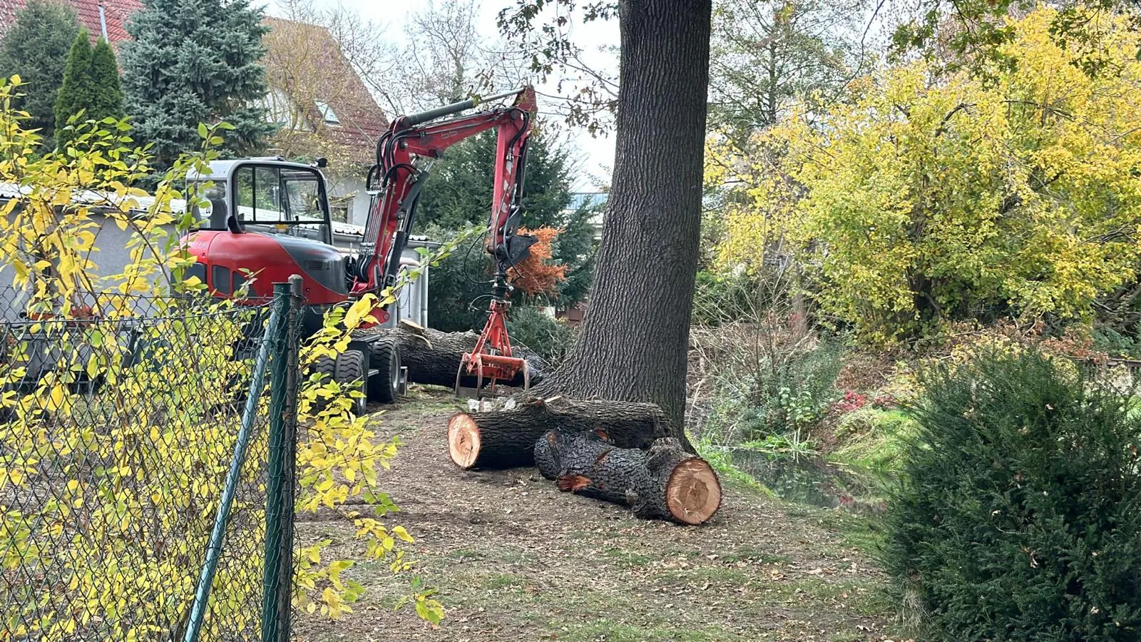 Abtransport mit dem Holzgreifer