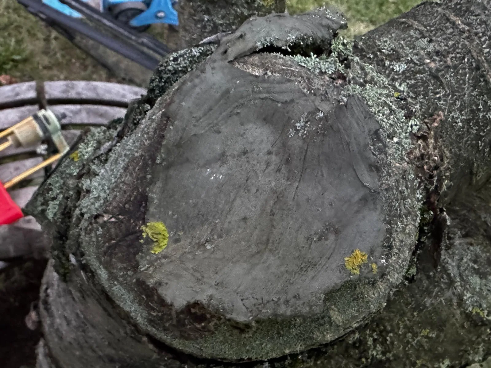 Detail der Schnittstelle mit Wundverschlussmittel und Flechten