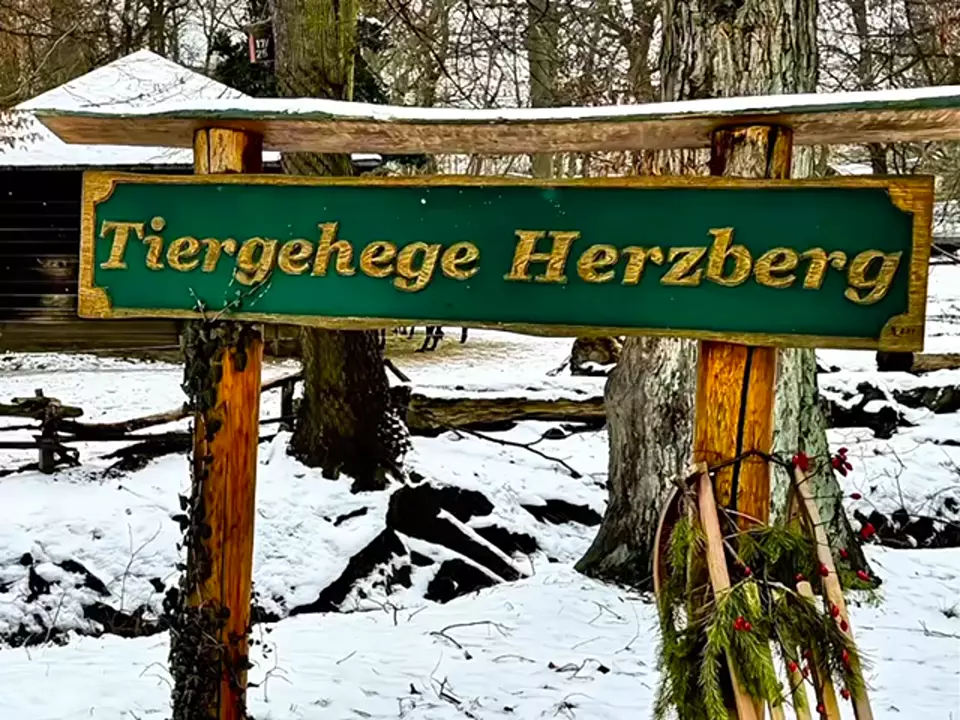 Aufrichten der Robinienstämme im Tierpark